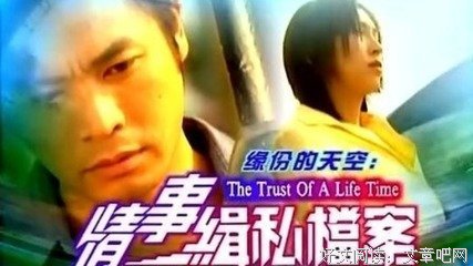 《情事缉私档案》观后感100字