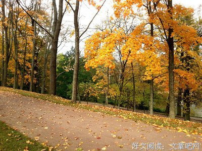 心情美句的句子