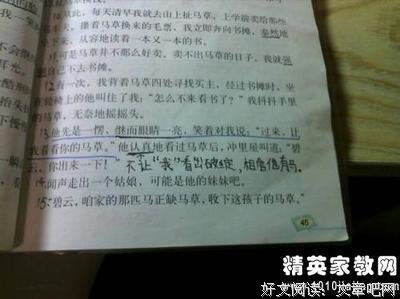 《独狼原理》经典读后感有感