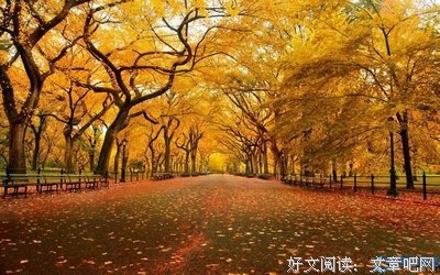 有关光明磊落的美句摘抄