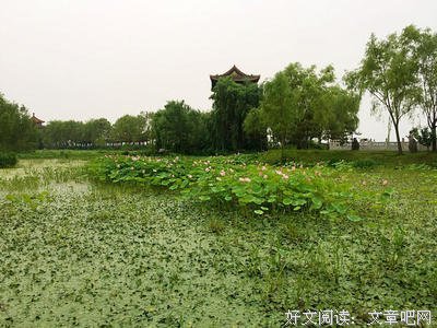 陌上花开名句欣赏
