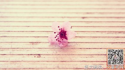 最全的《随想》散文美句大全