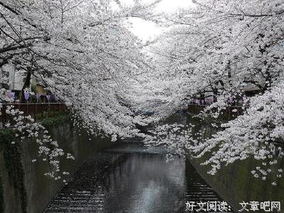 爱。。。句子大全