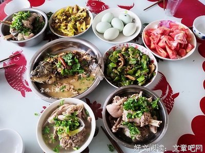去二姑家