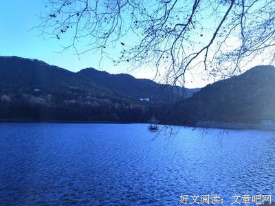 关于夜微的句子