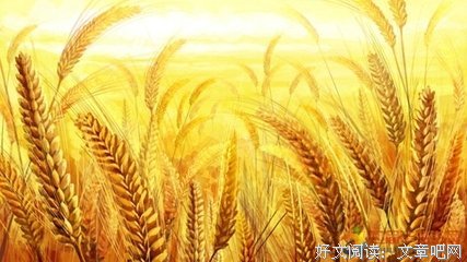 有关感悟的句子