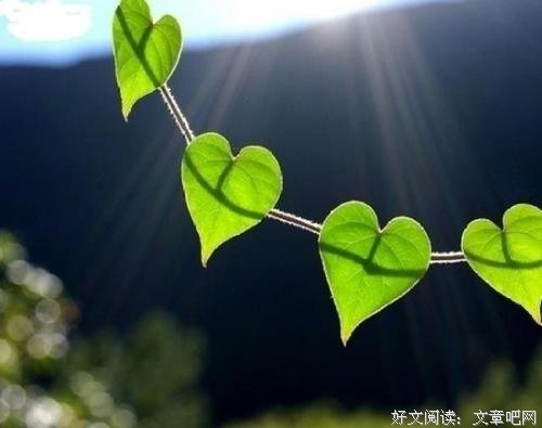 8句话教你看人，一看一个准！