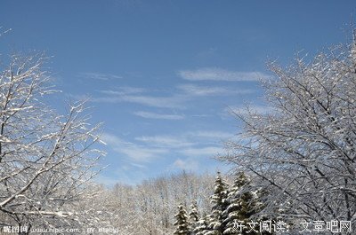 关于俗畫的句子