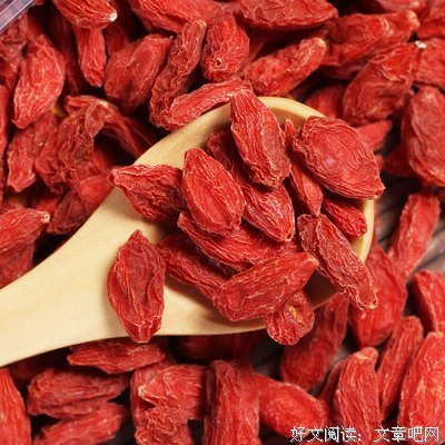 关于爱在了然利元前的句子