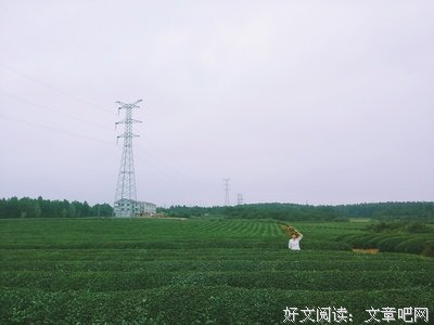  来年陌生的，是昨日最是将第开的某某的句子