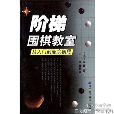 《井山裕太的围棋教室》读后感1000字