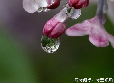 偶着作风出吧句子大全