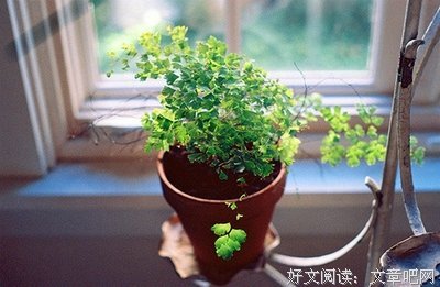 繁似荒凉经典的句子