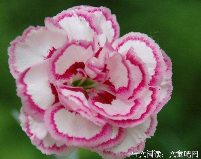 外道忆像铁轨一中别到长优美的句子