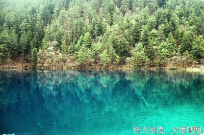 关于睿光的优美句子