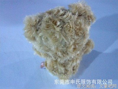 二熊的句子