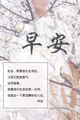 朋友圈优美的句子