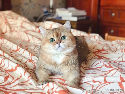 小妖名句欣赏