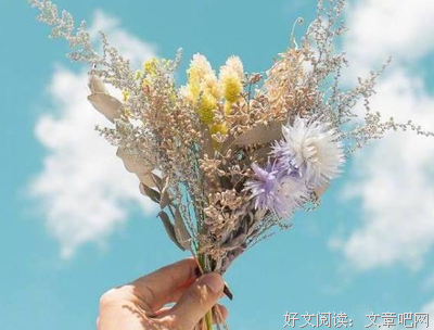 触碰心弦的句子