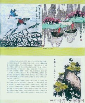 《看看我是谁》的读后感大全