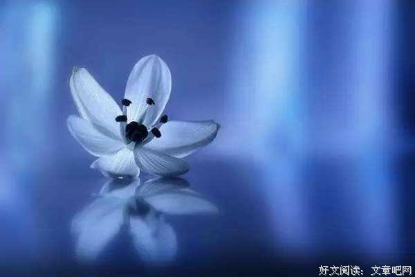 高期待，是毁掉一切亲密关系的开始