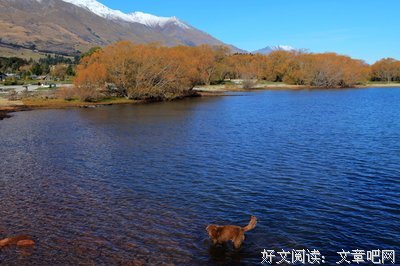 关于任小夫的格言