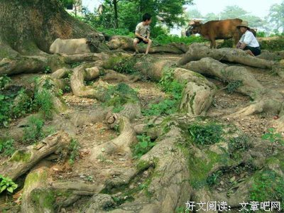 有关一上水便琉璃，半上水便离殇的句子