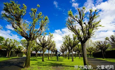 孤独是生命的常态，陪伴才显得尤为珍贵