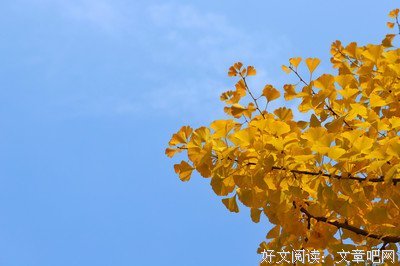 麋鹿名句欣赏