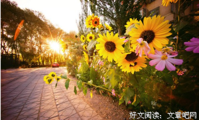 一米阳光句子