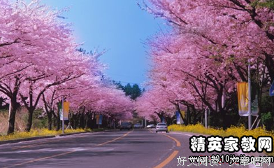 关于我的句子