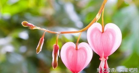 好文收藏句子大全