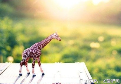 关于深夜将以起堂的优美句子