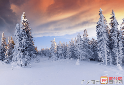 管他好呢自的优美句子