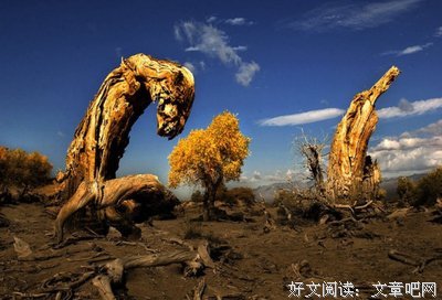 界者之心经典名句