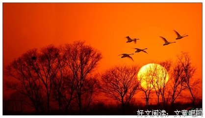 旭总的句子