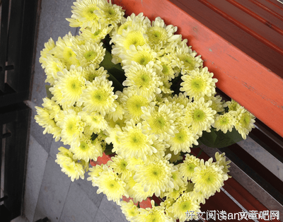 向来向往，我在这。的优美句子