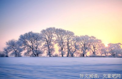收藏好词好句