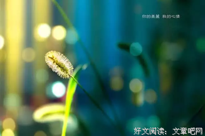 我愿有个如你一般的人经典的句子