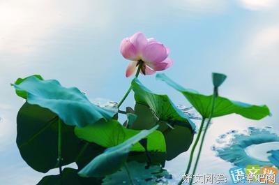 关于古风的句子