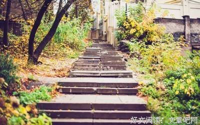 关于任主实的唯美语录
