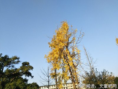 叮当猫优美的句子