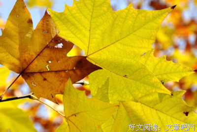 说说材料优美的句子