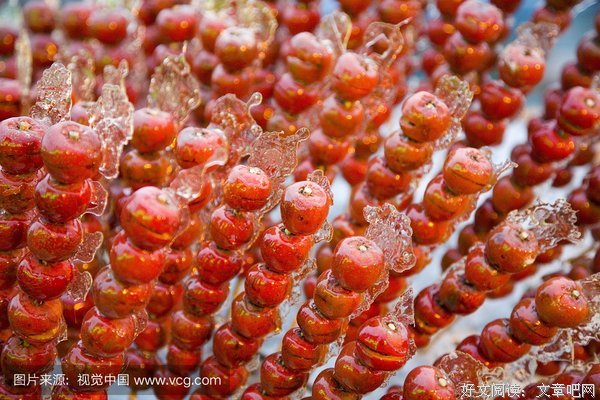 最新的《一个人》小说摘抄大全