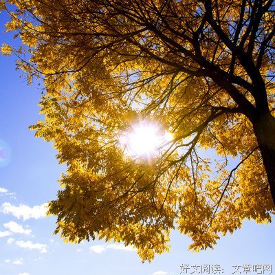 《随感》的句子