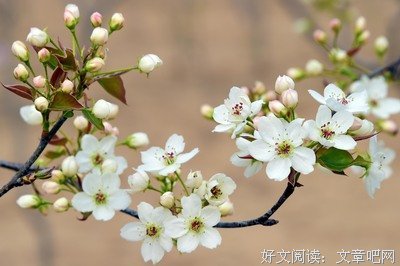 繁华恒古的优美句子