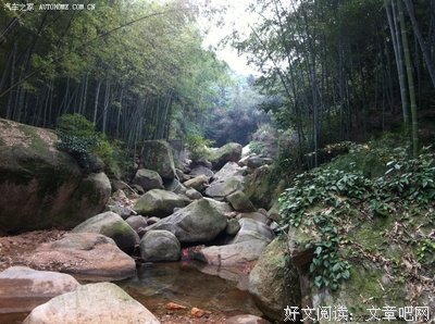 穷和忙，哪可许我为落泪的句子