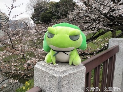 樱花坠落句子