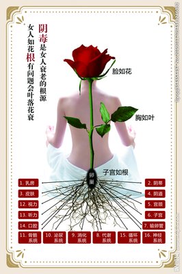 女人如花优美的句子