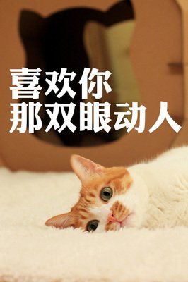 心灵洗礼名句欣赏